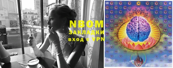 твердый Алзамай