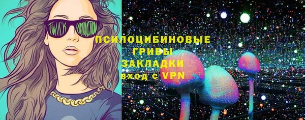 твердый Алзамай